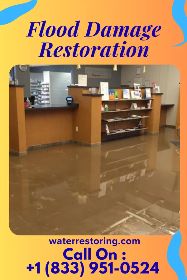 Flood Damage Restoration in Woodsfield, OH