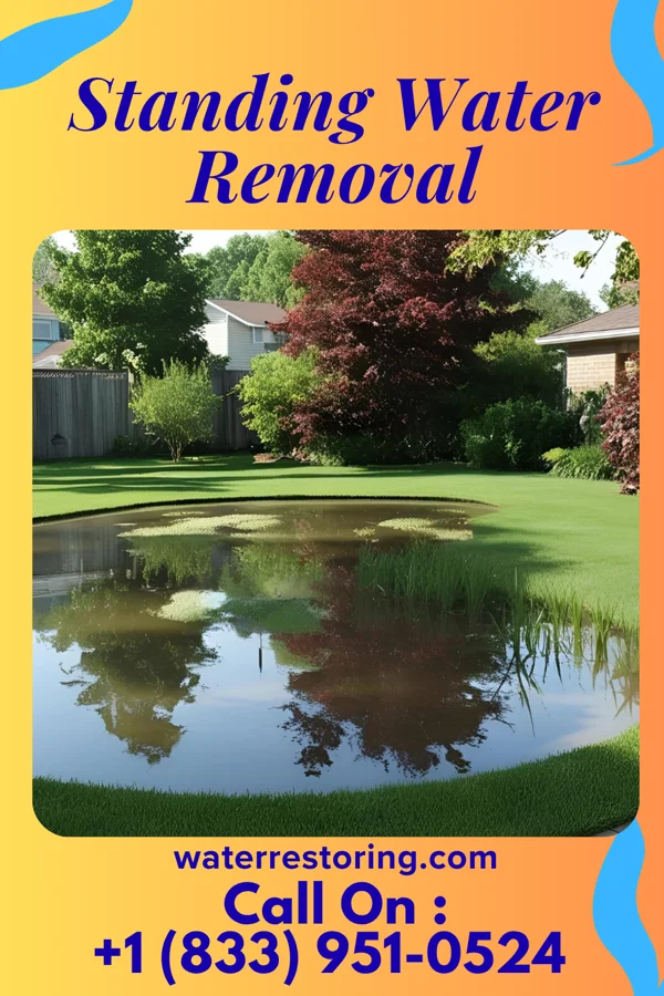 Standing Water Removal in Woodsfield, OH